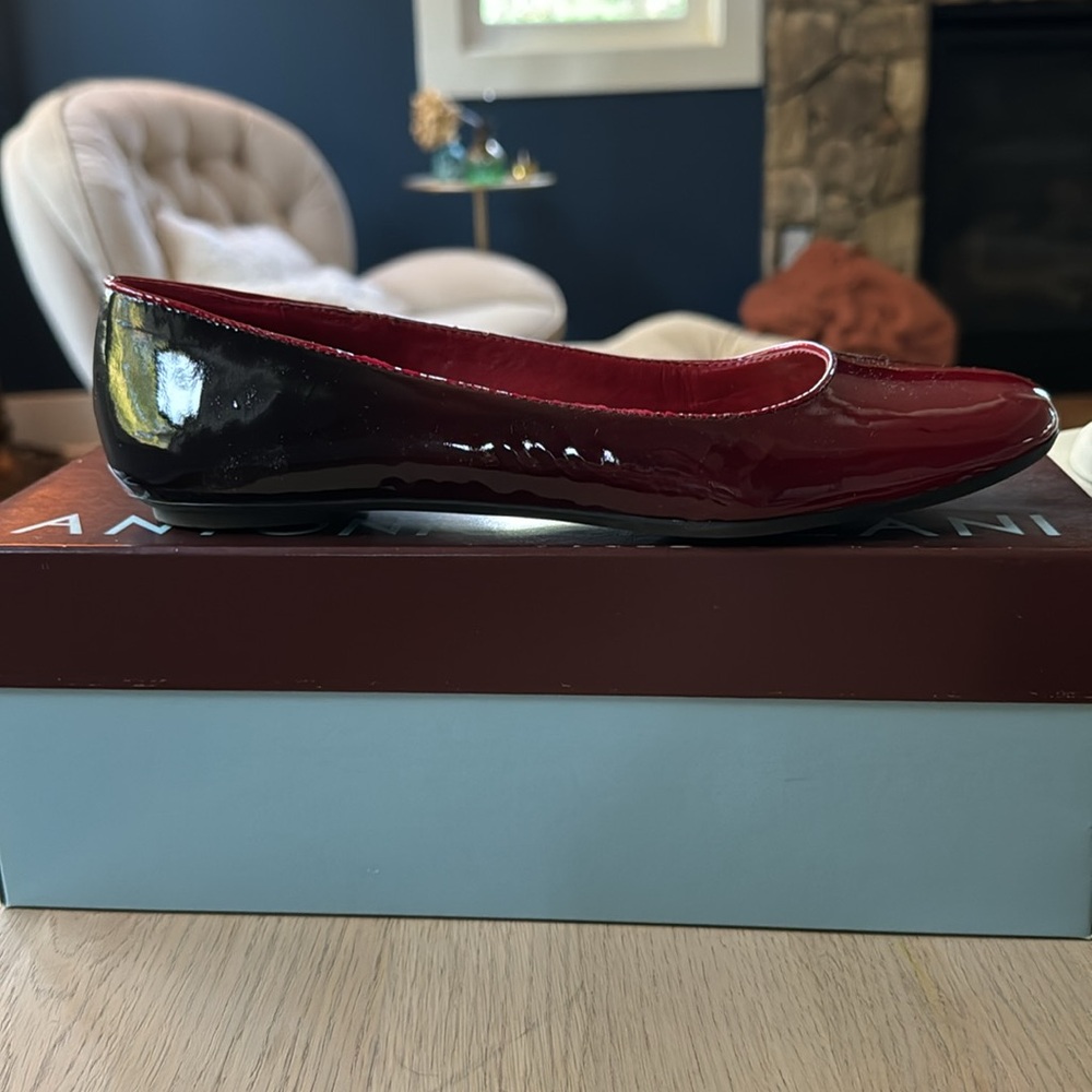 Antonio Melani Brand New Ombré Flats